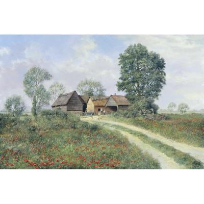 Clive Madgwick – Surrounded by Fields of Poppies